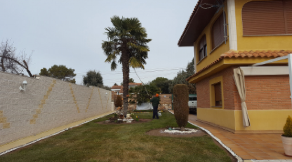 Servicio de instalación de sistemas de riego para jardines en Navas del Rey, Boadilla, Pozuelo y alrededores