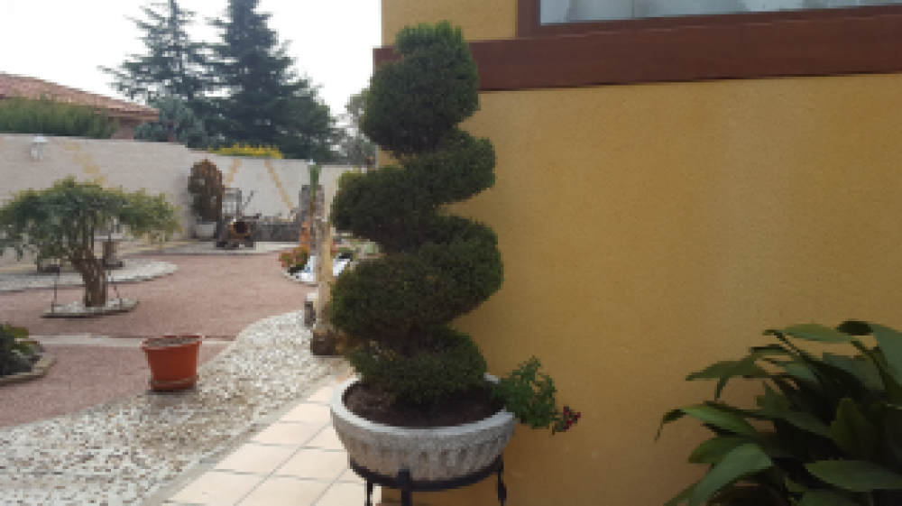 Sistemas de riego en Navas del Rey